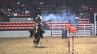 Cowboy Mounted Shooting Joins Houston Rodeo Competition [upl. by Lucho121]