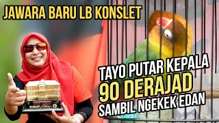 Ibuibu Gantang Love Bird Kenapa Nggak [upl. by Htiffirg]