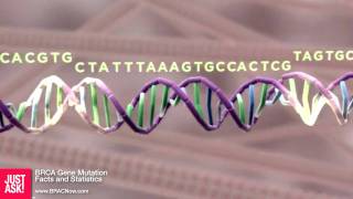 BRCA Gene Mutation Facts and Statistics [upl. by Nerro]