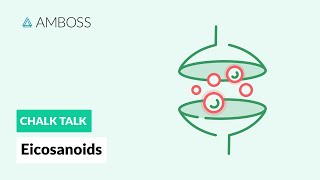 Eicosanoids Formation Function and Subclasses [upl. by Anoiuq969]