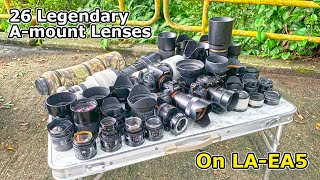 Sony LAEA5 with 26 Legendary Amount lenses on a7RIV [upl. by Adnot]