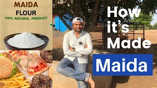 Maida  How its Made   मैदा कैसे बनता है  Refined wheat Flour  Farming Engineer [upl. by Gnex757]