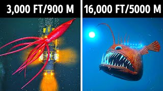 Fascinating 3D Journey to the Ocean Depths [upl. by Tnahs]