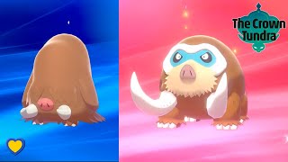 HOW TO Evolve Piloswine into Mamoswine in Pokémon Sword and Shield [upl. by Attenaj672]