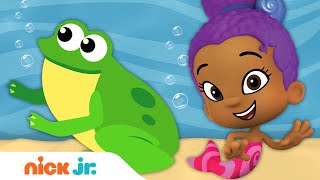 Zoolis Animal Rescue Ep 2 🐸 Animals for Kids  Bubble Guppies [upl. by Robina]