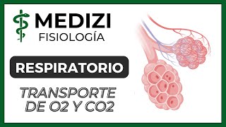 Clase 41 Fisiología Respiratoria  Transporte de O2 y CO2 en la sangre y tejidos IGdoctorpaiva [upl. by Ahsil]