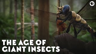 The Age of Giant Insects [upl. by Ihsir76]