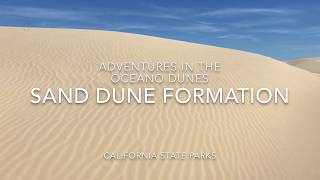 Sand Dune Formation and the Rock Cycle [upl. by Ailaham]