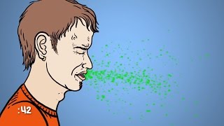 Can a Sneeze Kill You [upl. by Sirrot]