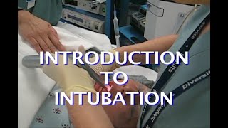 Introduction To Intubation [upl. by Collum552]