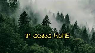 IM GOING HOME song and lyrics  Chris Daughtry [upl. by Lisandra381]