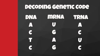 What We Mean By Positive amp Negative RNA Viruses [upl. by Etteiram]