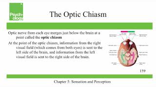 Openstax Psychology  Ch5  Sensation and Perception [upl. by Natiha441]