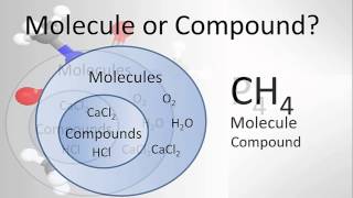 Molecule vs Compound Examples and Practice [upl. by Kerk]