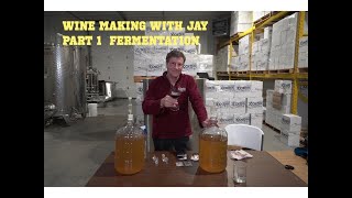 Wine Making for Beginners Chapter 1 [upl. by Ferriter]