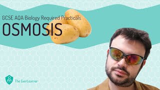 AQA GCSE Biology 91 Required Practical  Osmosis [upl. by Anyal]