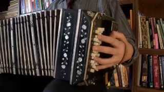 BANDONEON Bandoneon solo by David Alsina [upl. by Salomie822]