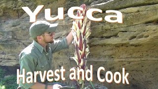 How to Harvest and Cook Yucca [upl. by Accemahs]