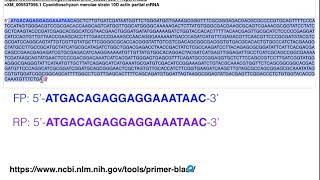 Biotechniques  Principles of Primer Design for Full Gene Amplification [upl. by Blakelee]