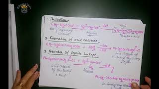 Peptide synthesis [upl. by Ibbob876]