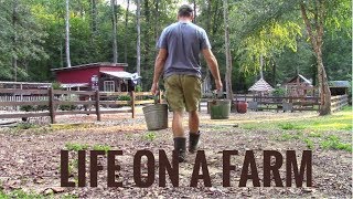 Life On A Farm  Morning amp Evening Chores  Our Daily Homestead Routine [upl. by Aynekal]