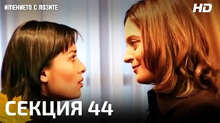 ИМЕНИЕТО С ЛОЗИТЕ  СЕКЦИЯ 44 [upl. by Benedict]