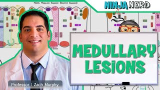 Medullary Lesions Medial and Lateral Medullary Syndromes [upl. by Lorola]