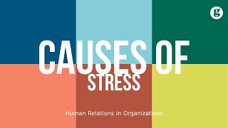 Causes of Stress [upl. by Gwendolin]