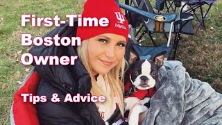 FirstTime Boston Terrier Owner Shares Tips amp Advice [upl. by Sergio21]