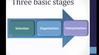 Perception Basics [upl. by Tik]