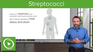 Streptococci – Microbiology  Lecturio [upl. by Mima]