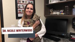 Meet Dr Nicole Winterwood [upl. by Adnolor]