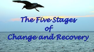 The Five Stages of Change and Recovery [upl. by Hildy838]