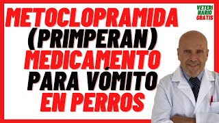 METOCLOPRAMIDA Primperan DOSIS en PERROS 🟣 Medicamento Antiemético para Cortar el VÓMITO en PERROS [upl. by Cud356]