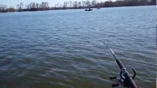 Reelfoot Lake March 10 Chippy Solo [upl. by Stirling]