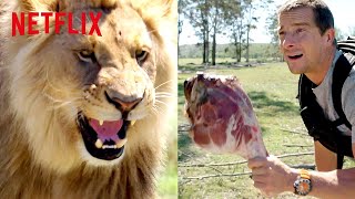 Bear Grylls Chased by a Lion  Animals on the Loose A You vs Wild Movie  Netflix After School [upl. by Gnot70]