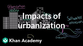 Impacts of Urbanization AP Environmental science Khan Academy [upl. by Reggis719]