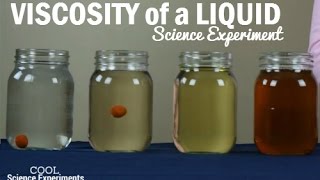 How to test the Viscosity of a Liquid [upl. by Nerra]