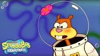 Sheriff Sandy Cheeks 🤠 Slice of Texas  Ep 2  SpongeBob [upl. by Gernhard]