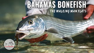 FLY FISHING FOR BONEFISH BY TODD MOEN [upl. by Anabal]