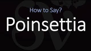 How to Pronounce Poinsettia CORRECTLY [upl. by Gwendolyn]