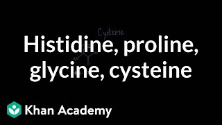 Special cases Histidine proline glycine cysteine  MCAT  Khan Academy [upl. by Arreip131]