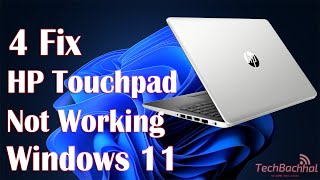 HP Touchpad Not Working Windows 11  4 Fix [upl. by Felicidad930]