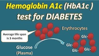 Hemoglobin A1c HbA1c test for diabetes [upl. by Aland207]