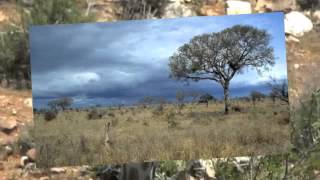 The Savanna Biome in South Africa [upl. by Ahsiken]