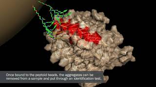 How it works A gamechanging new test for prion disease [upl. by Nyrmac]