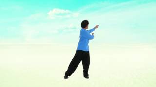 Perth Taichi Academy 18 Taiji Qigong [upl. by Malinowski829]