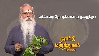 நிலகடம்பு மருத்துவ பயன்கள்  Nilakadambu medicinel benefits  Asarum Europaeum NaturalScienceTamil [upl. by Zetroc]