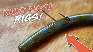 Bass Fishing 101 5 Bass Fishing Rigs You NEED to KNOW [upl. by Marieann]