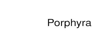 How to pronounce Porphyra [upl. by Ahsinom611]